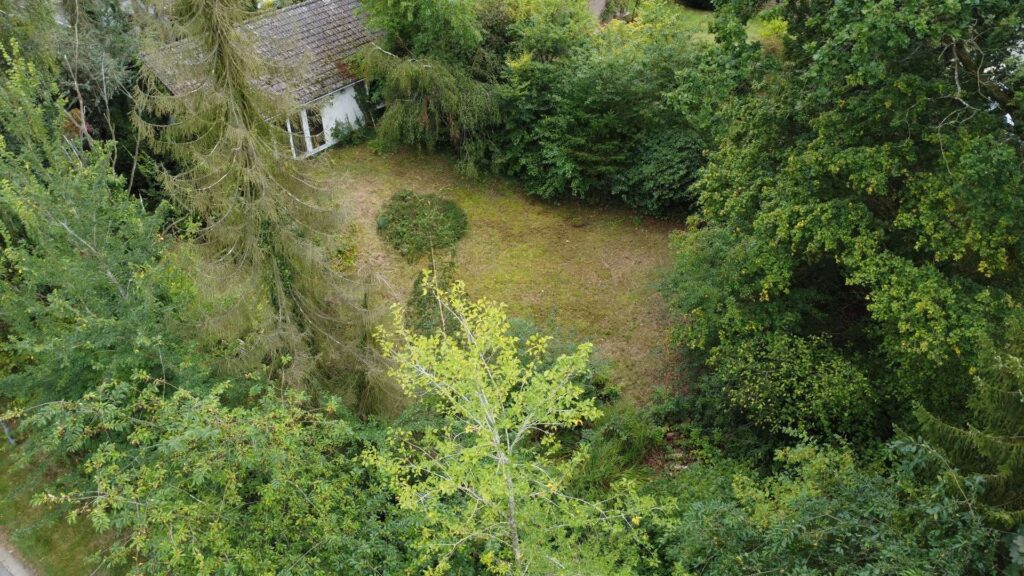 Außenansicht mit Garten